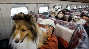 Sonderfahrt für Hunde in japanischem Hochgeschwindigkeitszug 