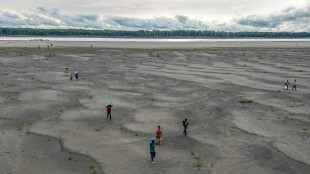 Record drought in Amazon impacts 420,000 children: UNICEF