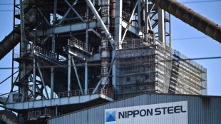 Biden to block US-Japan steel deal: US media