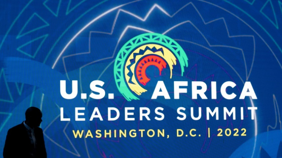 Youth of African diaspora consider climate solutions at US summit