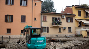 Maltempo: l'Emilia-Romagna chiederà lo stato di emergenza