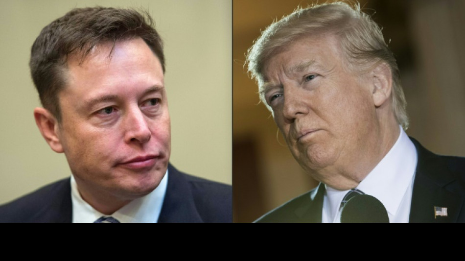 Elon Musk gleeful as Twitter users vote on reinstating Trump