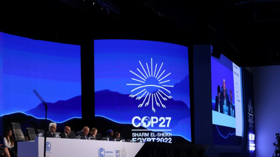 "Histórico" pero "insuficiente": las reacciones al acuerdo de la COP27