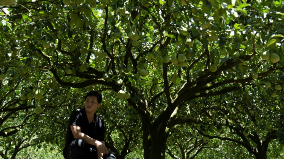 Taïwan: les producteurs de fruits et de poissons mis sous pression par les sanctions de Pékin