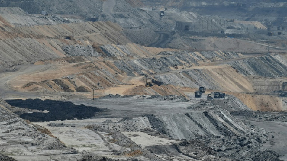 Oenegés ven falta de ambición del G20 para acabar con las energías fósiles