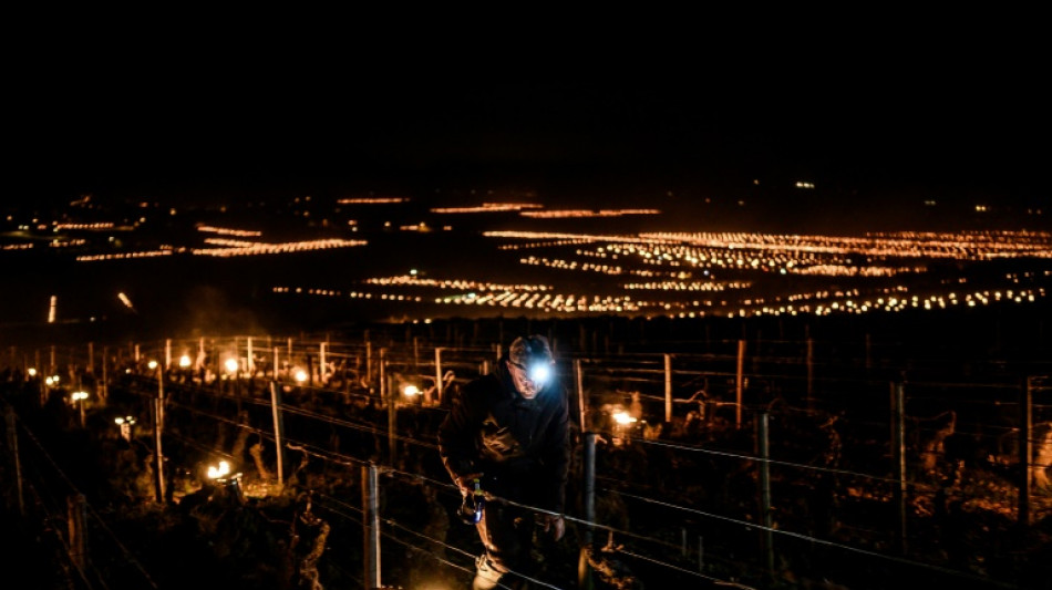 French fruit, vineyards endure coldest April day in 75 years