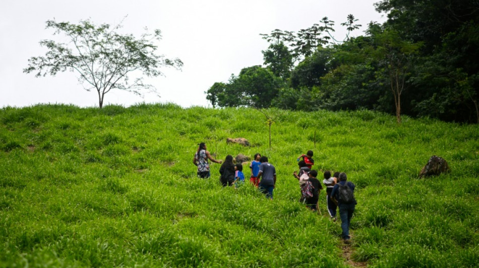 Brésil: retour aux sources pour une communauté guarani