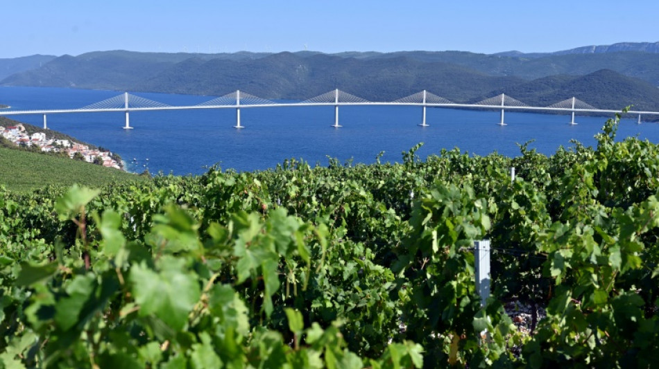 Kroatien eröffnet Brücke zwischen südlichstem Zipfel und Rest des Landes