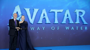 'Avatar' sequel dominates N.America movie screens