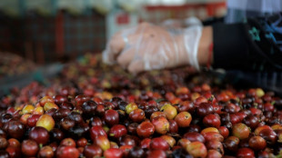 La economía de Colombia creció 1,7% en 2024, con el café como protagonista