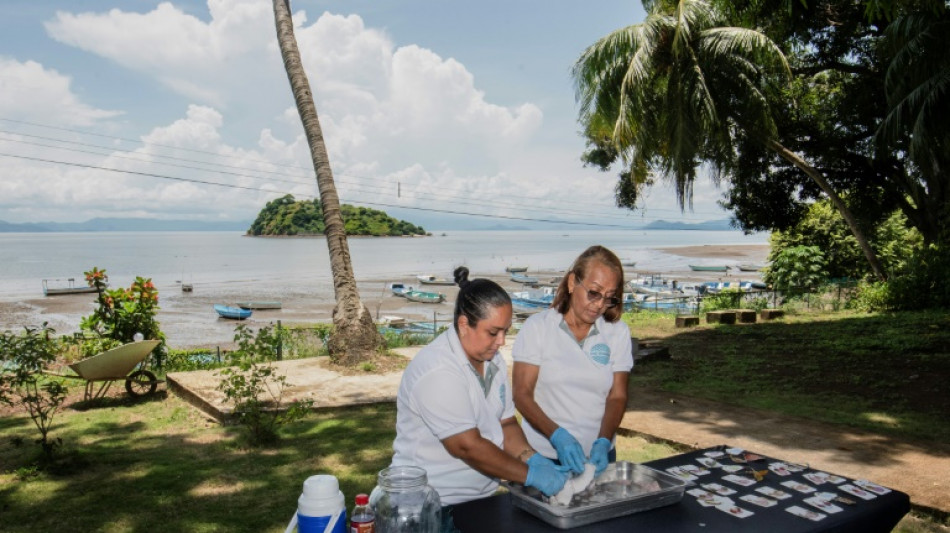 Carpe diem: the Costa Rican women turning fish into fashion