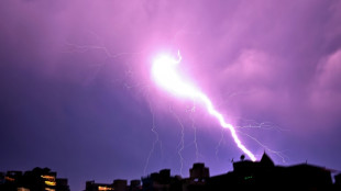 'Alarming' rise in deadly lightning strikes in India: scientists