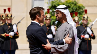 Macron reçoit le président des Emirats pour discuter d'énergie