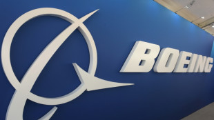 Boeing shares dive on latest 737 MAX issue 