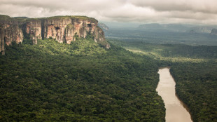 Petrolio, nuovo pressing sui permessi alle trivelle in Amazzonia