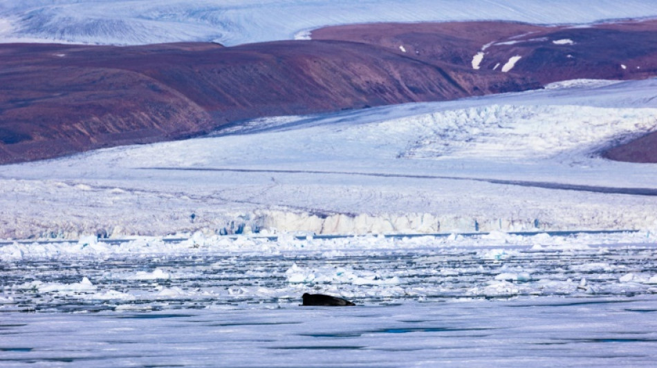 Thinning Greenland ice sheet may mean more sea level rise: study