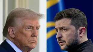 Trump, radouci par un "deal" sur les minerais, accueille Zelensky