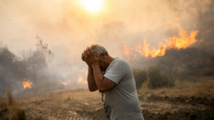 Three people die in Greece as wildfires rage