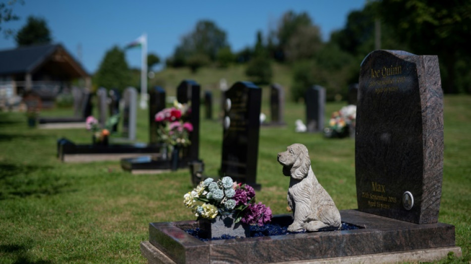 UK pet owners face grim choices amid soaring costs