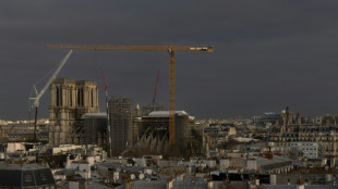 Notre-Dame to regain spire this year and reopen end-2024