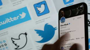 Musk asks court to halt upcoming Twitter trial 