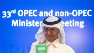 OPEC+: a thriving Saudi-Russian marriage of convenience