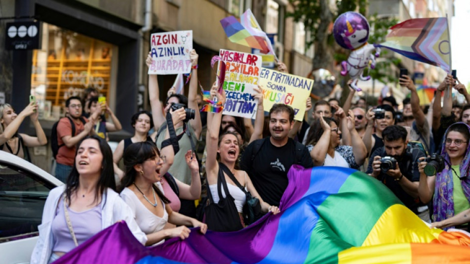 Istanbul gay pride activists rally despite ban 