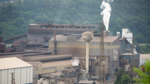 Rachat de US Steel: Nippon Steel fustige l'opposition politique "inappropriée" aux Etats-Unis