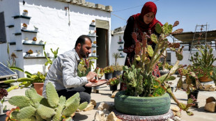 A Gaza, l'économie de la débrouille pour échapper à la misère