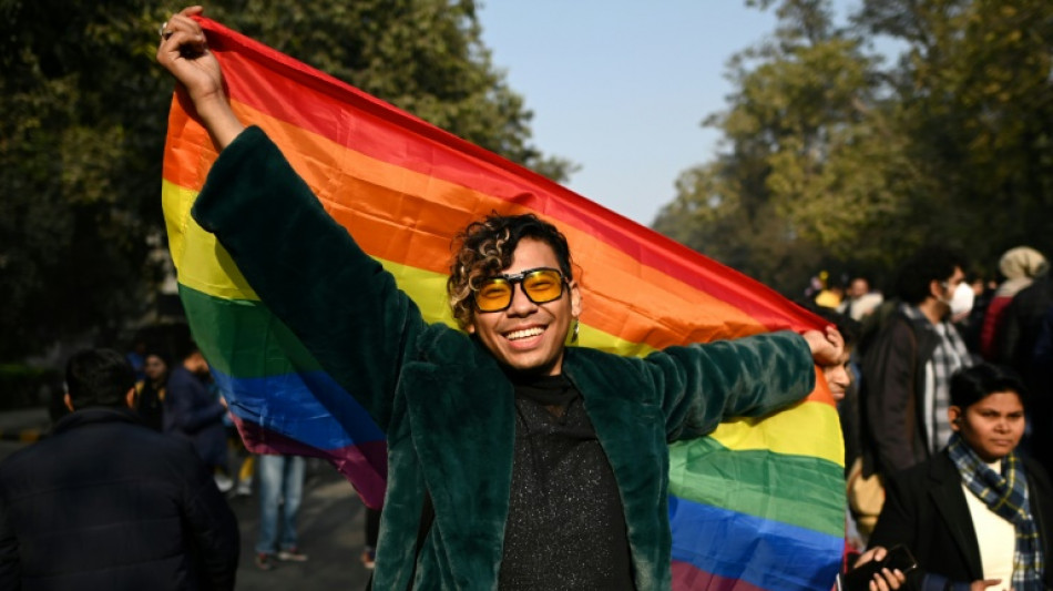 Marche des Fiertés à Delhi, appels à la reconnaissance du mariage pour tous