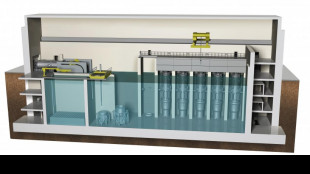 Nucleare, Enea guida progetto per piccoli reattori modulari