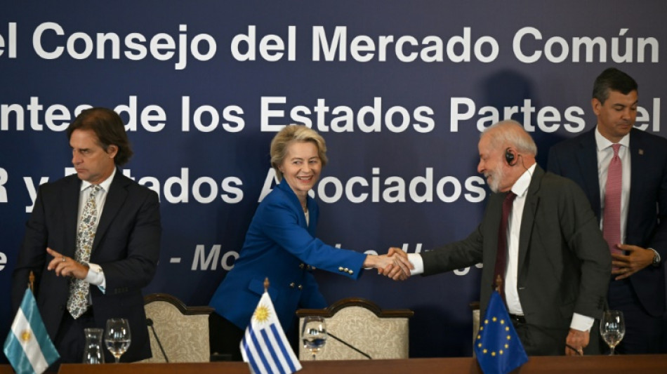 EU and S.America countries conclude divisive trade deal