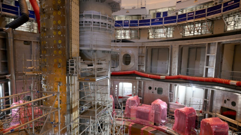 International fusion energy project faces delays, says chief