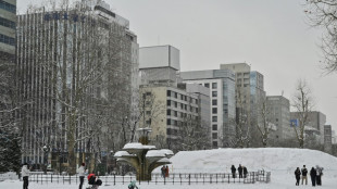 Varios muertos por nevadas récord en Japón