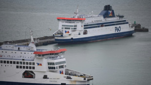 Trafic transmanche: situation compliquée au port de Douvres