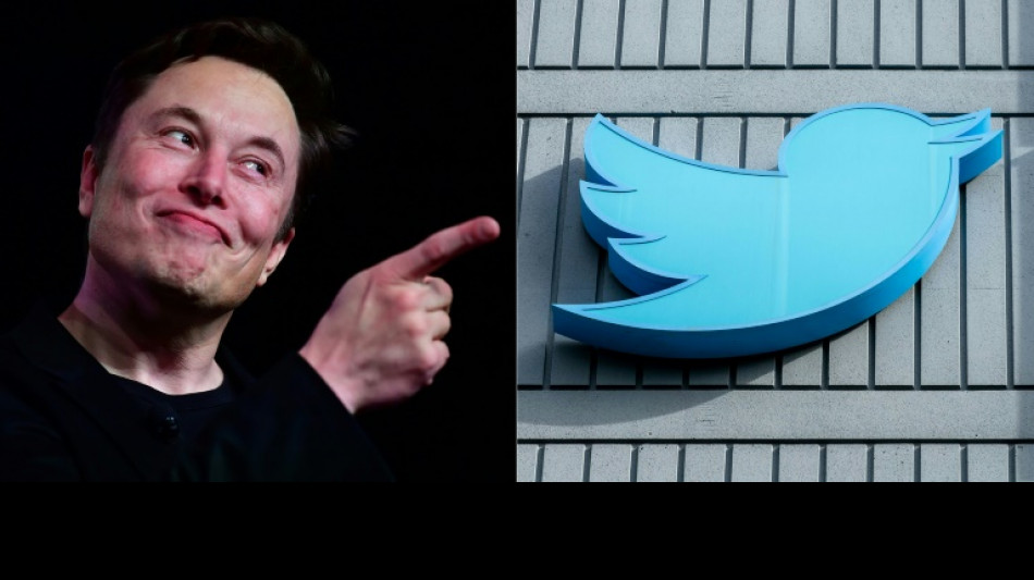 Bird statue fetches $100,000 as Musk auctions Twitter HQ items