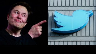 Twitter: Musk change le logo, la cryptomonnaie associée voit son cours décoller