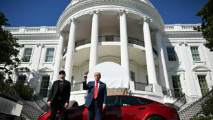 Trump talks up Tesla in White House show of support for Musk