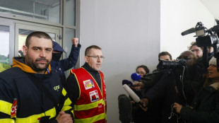 Electriciens et gaziers privent le Stade de France de courant