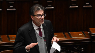 Giorgetti, singolare l'urgenza di spendere per la difesa