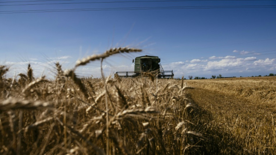 Ukraine war rattles EU green farming plan