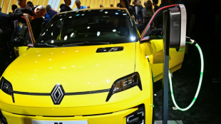 Renault revs up profitability in 2024