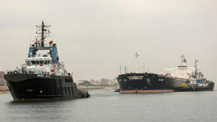 Canal de Suez: un navire échoué remis à flot, le trafic reste normal