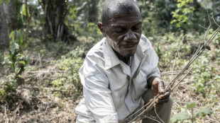 Les pygmées aka de Centrafrique menacés par la déforestation