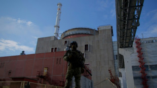 Los rusos abren las puertas de la central nuclear ucraniana de Zaporiyia