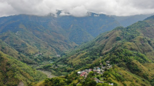 Taiwan tribe despairs as drought shrinks bamboo crop