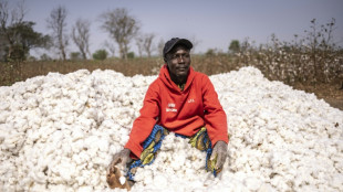 Benin seeks home-grown cotton 'revolution'