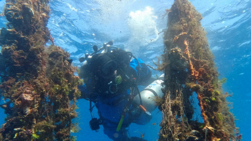 Divers fish deadly 'ghost nets' from Santorini's depths 