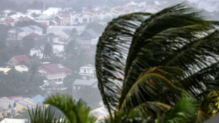 Two dead as cyclone Garance batters French island