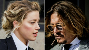 Johnny Depp contre Amber Heard: les seconds rôles volent la vedette à leur patron